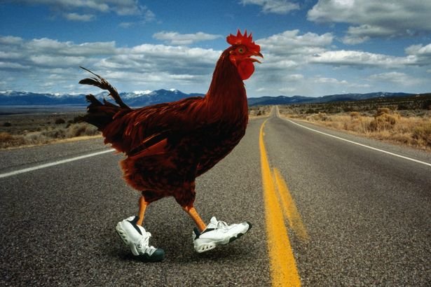 Tutte le informazioni sulla Chicken Road, Popolare Gioco di Casino di Origine - panoramica