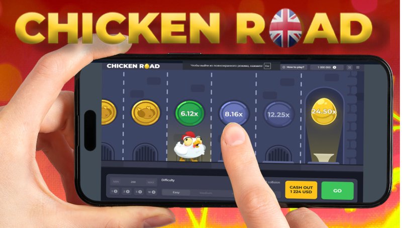 Best chicken road in Netherlands